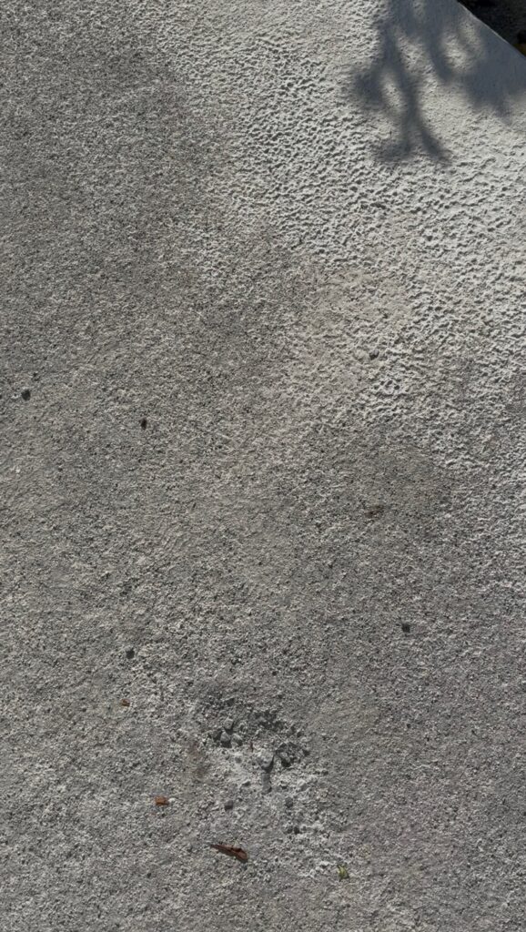 雨打たれコンクリート